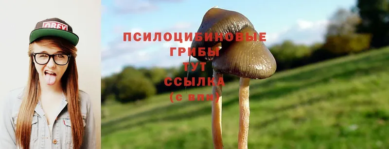 ОМГ ОМГ ONION  купить закладку  даркнет формула  Псилоцибиновые грибы Magic Shrooms  Белебей 